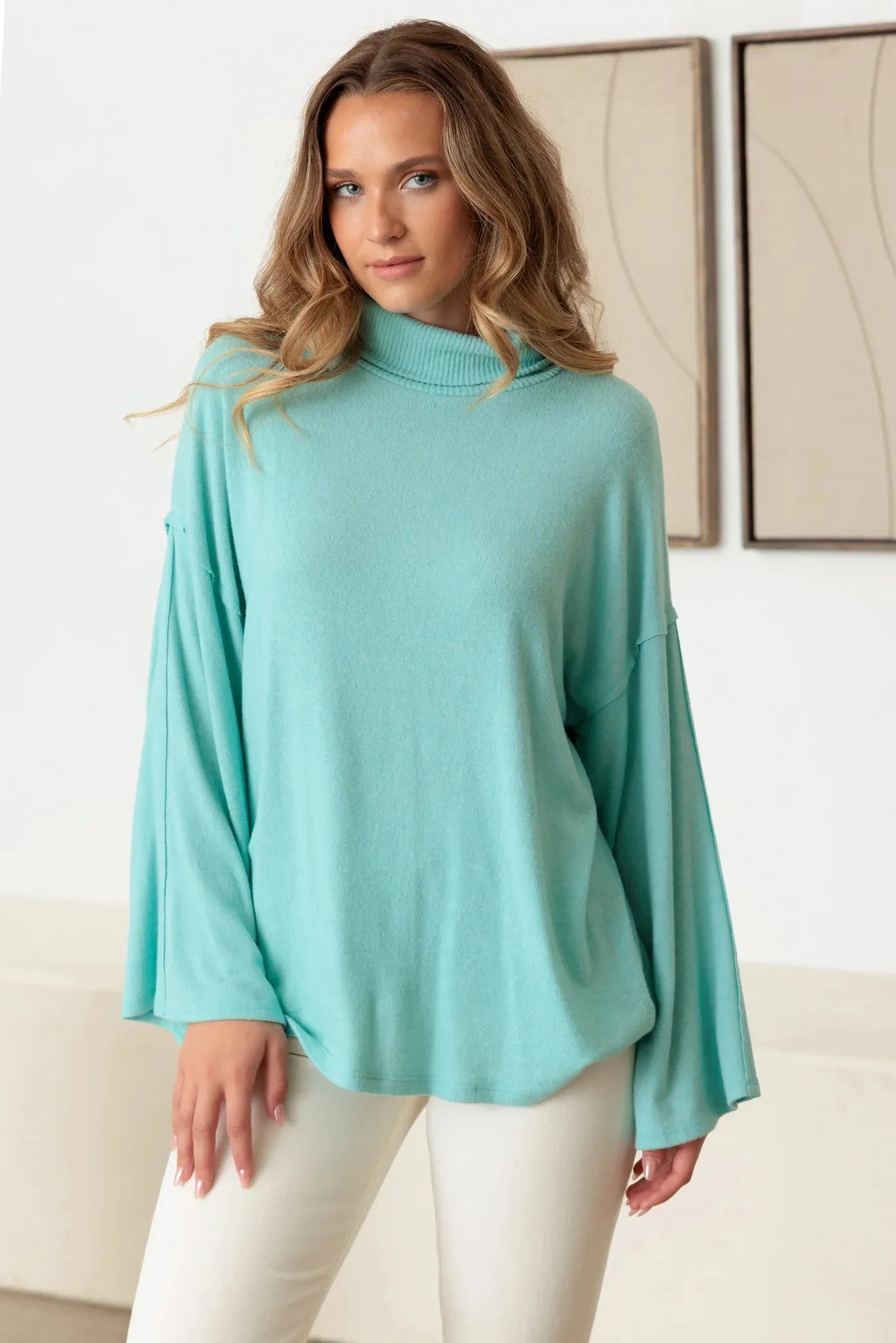 Turtle Neck Wide Long Sleeve Soft Knit Top