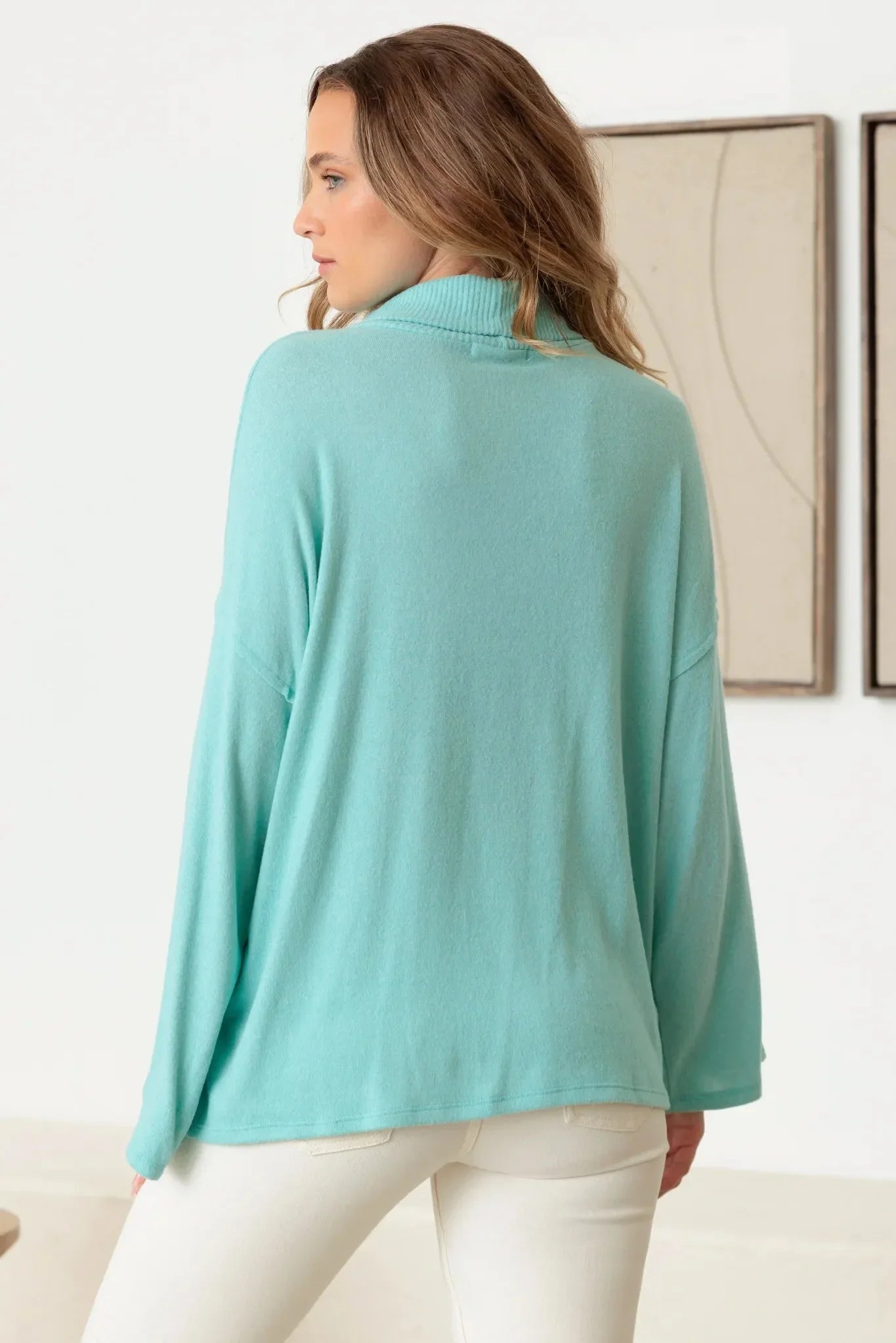 Turtle Neck Wide Long Sleeve Soft Knit Top